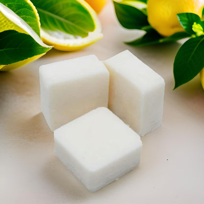 Amalfi Lemon & Sea Salt Botanical Soy Wax Melt