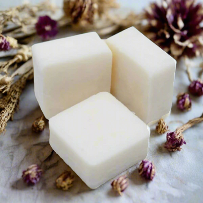 Ye Olde Curiosity Shoppe Botanical Soy Wax Melt